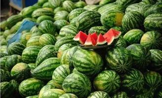 山工园吃瓜视频全集免费,揭秘校园生活趣味瞬间