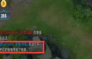 王者骂人吃瓜视频,一场骂人吃瓜视频引发的全民热议