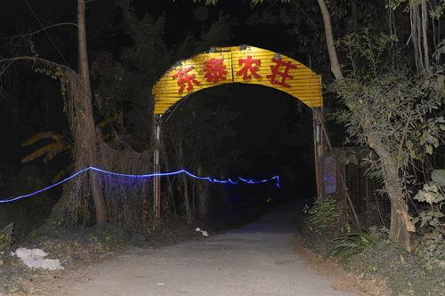 龙洞吃瓜事件视频,一场网络热议的真相揭秘