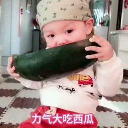 柳瓜小孩儿可以吃么嘛视频