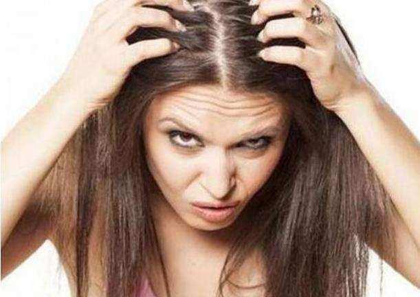 客官吃瓜洗头发视频,客官体验新潮流