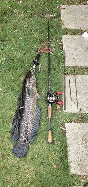 吃瓜群众新手钓鱼视频,吃瓜群众教你轻松入门