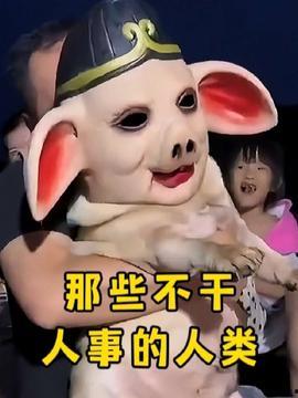 沧玄吃瓜搞笑视频大全下载,笑料横生，欢乐无限