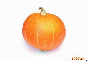 今日必吃大瓜视频,揭秘娱乐圈最新热点事件