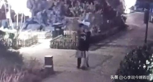 兰州大街吃瓜事件视频,一场引发热议的街头冲突瞬间