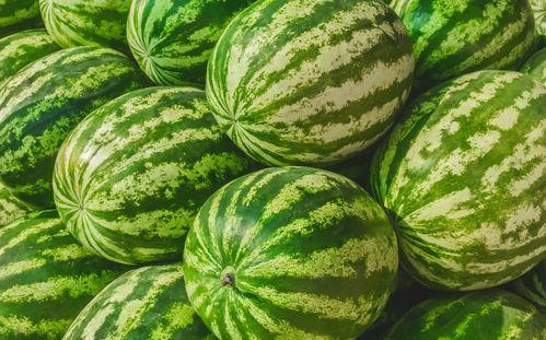 很客观吃瓜的视频素材在哪里找,客观吃瓜视频素材的宝藏之地