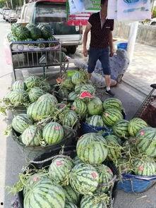 韩城东湖吃瓜事件视频最新,一场网络热议的真相揭秘