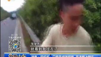 吃瓜路人翻车视频,一场意外引发的围观与反思