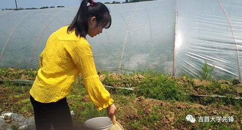 为什么总赶不上吃瓜视频