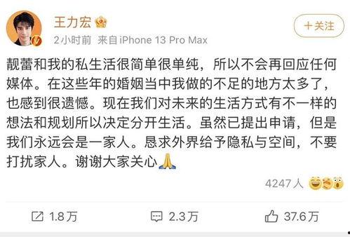 为什么总赶不上吃瓜视频