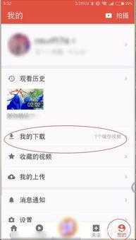 瓜园里吃西瓜视频下载
