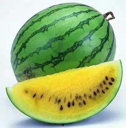 自制消暑吃瓜视频,自制吃瓜视频大揭秘