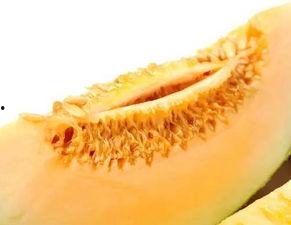 吃瓜视频蜜瓜,揭秘吃瓜视频中的甜蜜诱惑