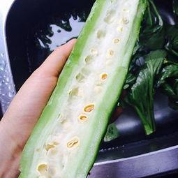 十分钟视频吃瓜,吃瓜群众的狂欢盛宴