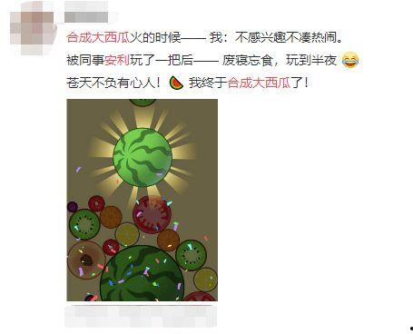 边吃瓜边学英语视频,轻松提升英语水平的趣味指南