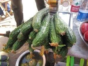 泰山吃瓜视频,揭秘网红美食背后的故事