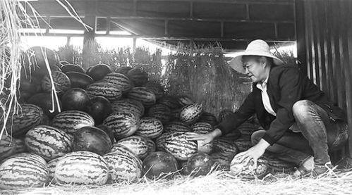 运河区吃瓜群众事件视频