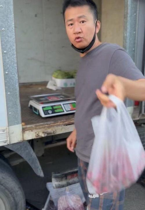 吃瓜搬砖头视频,揭秘网络红人的日常