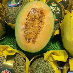 图图吃哈密瓜视频