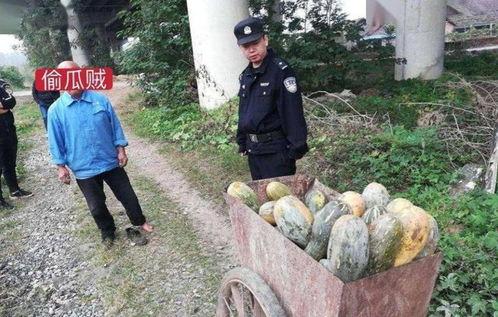 近期大荔吃瓜事件视频