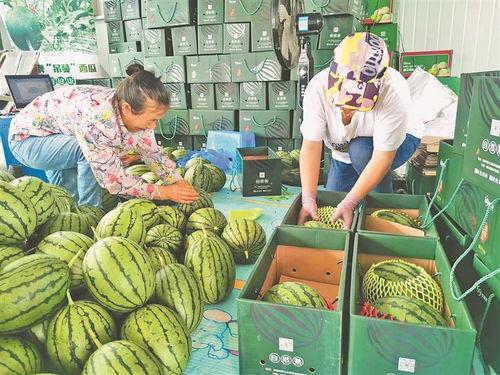 近期大荔吃瓜事件视频