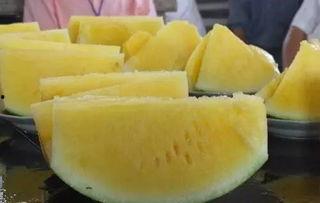 出名的吃瓜视频,一场全民参与的娱乐盛宴