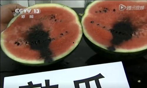 出名的吃瓜视频,一场全民参与的娱乐盛宴