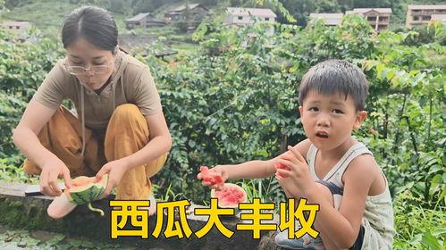 吃瓜视频一家人,揭秘家庭欢乐时光