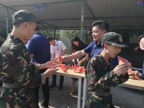 吃瓜视频大力士,大力士背后的惊人秘密