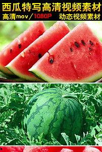 吃瓜专用纯音乐视频