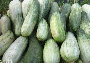 酥瓜可以直接吃嘛视频,可直接食用，轻松解锁夏日清凉新选择