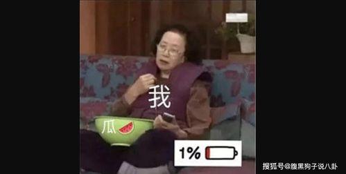 本周最新吃瓜视频,盘点那些让人笑到肚子疼的瞬间