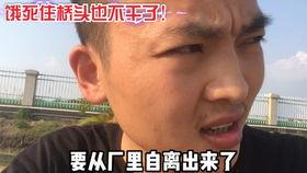 聪哥吃瓜视频在线观看,带你领略网络娱乐新风尚