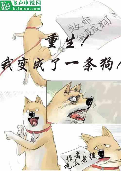 猫咪视频大全吃瓜,吃瓜群众的最爱，萌宠美食大揭秘