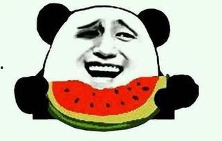 约架吃瓜犯法吗视频,揭秘网络约架的法律边界