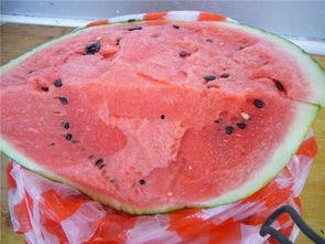 烧瓜可以蘸白糖吃么视频,视频教你如何美味搭配