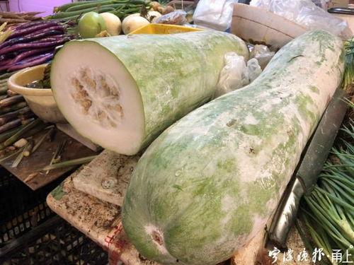 宁波女子吃隔夜瓜视频,宁波女子隔夜瓜事件引发食品安全关注