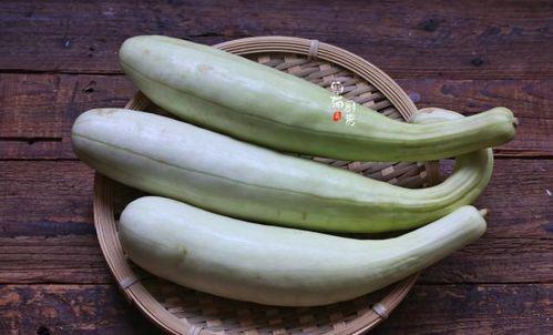 沙土瓜怎么吃最好吃视频,视频教你如何吃出最佳口感