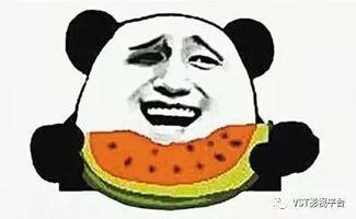 吃瓜群众小胖哥视频全集