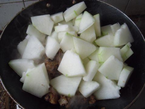 鸡吃土耳其瓜吗好吗视频