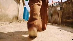 吃瓜老爹博主视频,一场视频盛宴背后的故事