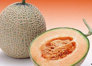 捷德吃哈密瓜视频大全,哈密瓜盛宴欢乐多