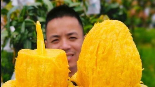 月亮视频吃瓜,揭秘娱乐圈最新热点事件