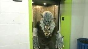 带你吃瓜搞笑遛狗视频大全,笑料横生！带你领略搞笑遛狗视频盛宴