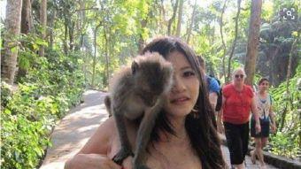 美女吃瓜变成猴视频大全,趣味横生的视觉盛宴