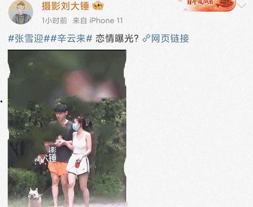 各种劲爆吃瓜图片视频,劲爆吃瓜瞬间，揭秘幕后真相！