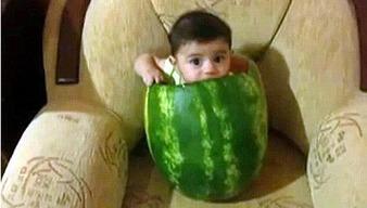 沐龙泉吃瓜事件视频大全,视频大全揭秘幕后真相