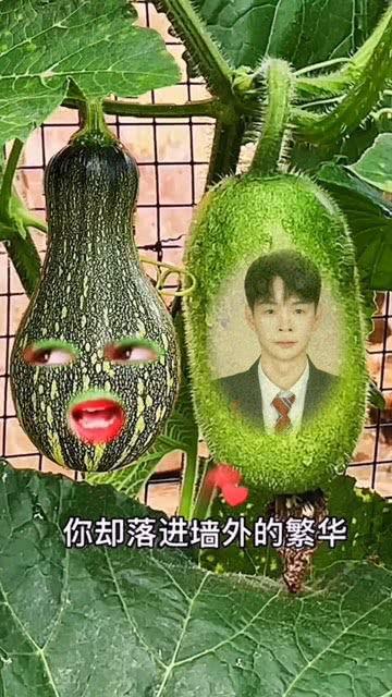 吃瓜小兔特效视频大全免费观看,笑料横生，欢乐无限