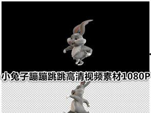 吃瓜小兔特效视频大全免费观看,笑料横生，欢乐无限