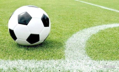 足球导播吃瓜是谁呀视频